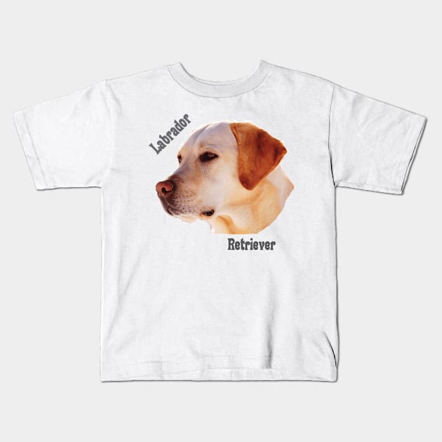 Dog breeds - Labrador Retriever Kids T-Shirt by Hujer